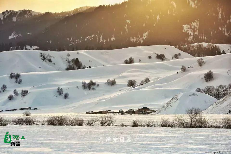 晨曦中的冬日那拉提草原，是我见到的另一个天堂