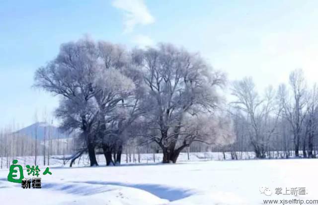新疆冬季最美的五大湖泊，体验冰雪晶莹的唯美纯净！