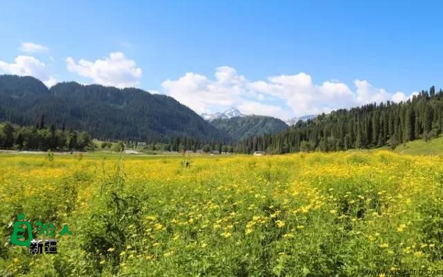 新疆最美风景在哪里？这让人向往的20个地方，2019不容错过！