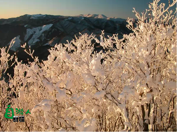 这50张照片，就是冬天去新疆的全部理由，美哭了！画面震撼所有人！