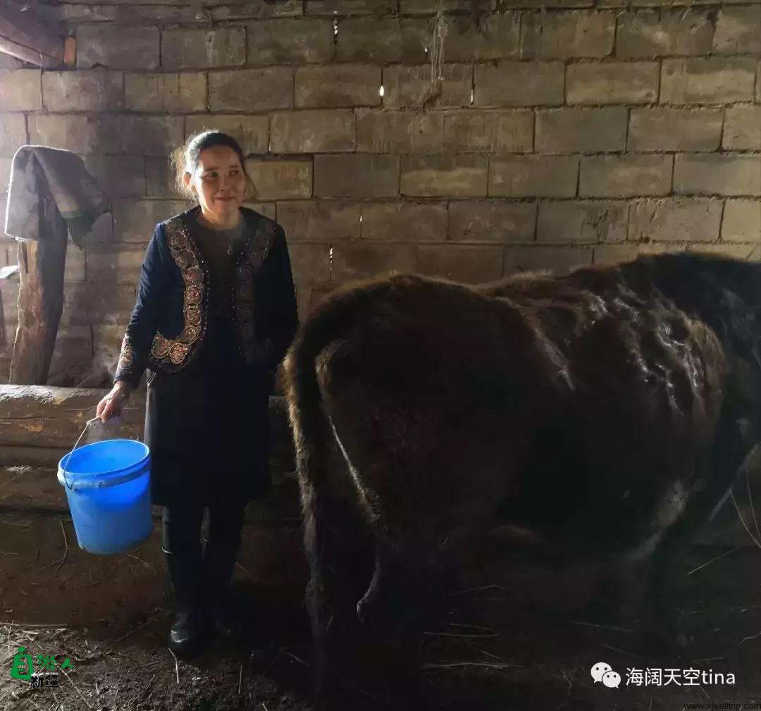 一位行者的心灵之旅——冬日再游水墨那拉提（上）