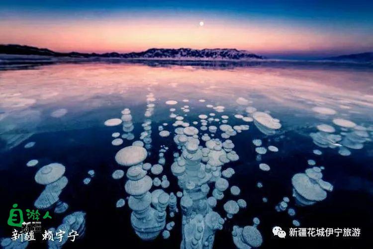 回忆2018年我最好的家乡——伊犁