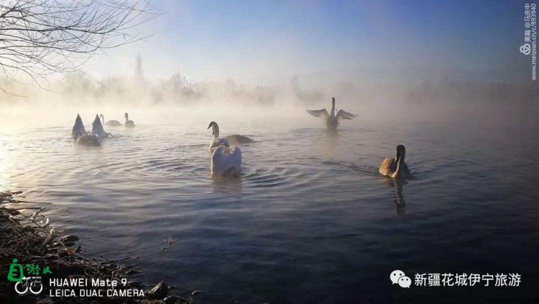 “我说新疆”之陶醉在冬季伊犁的水墨世界里