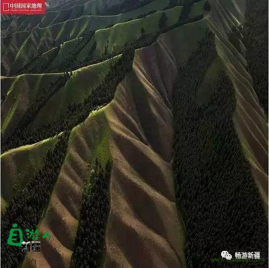 新疆风景到底有多美？答案都在这里！