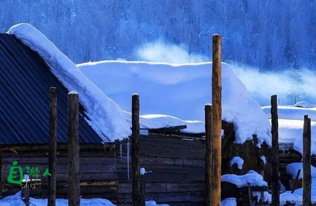 新疆的雪，一年四季最变幻莫测的白！ 新疆的马，冰天雪地中最狂野的精灵！