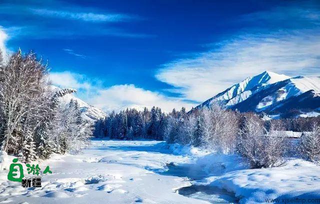 新疆的雪，一年四季最变幻莫测的白！ 新疆的马，冰天雪地中最狂野的精灵！