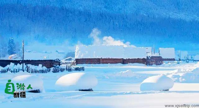 新疆的雪，一年四季最变幻莫测的白！ 新疆的马，冰天雪地中最狂野的精灵！