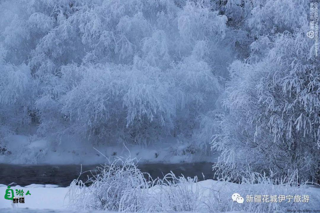 “我说新疆”之陶醉在冬季伊犁的水墨世界里