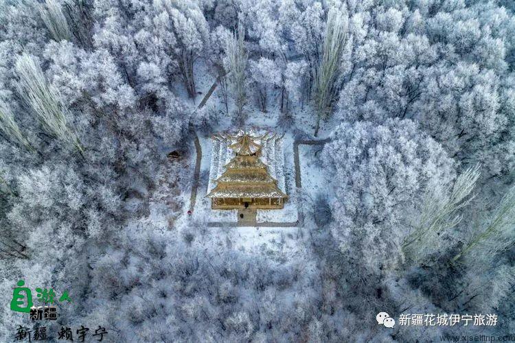 回忆2018年我最好的家乡——伊犁