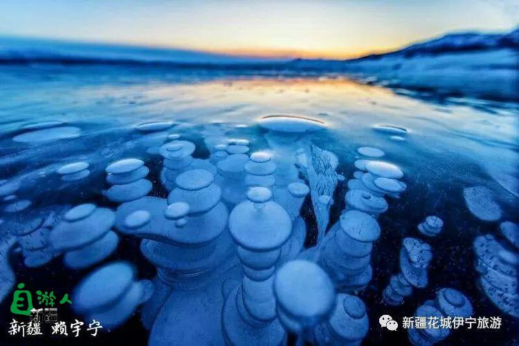 回忆2018年我最好的家乡——伊犁