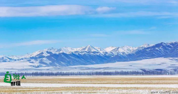 伊犁河谷的冬季童话美景，是大自然奇妙美景，雪与光的盛宴！