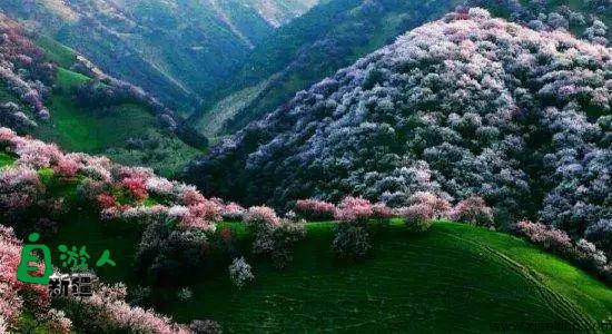 来了新疆，你就知道这里才是真正的人间天堂！