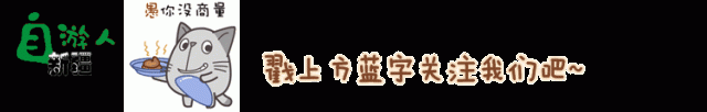 面粉食用指南！用对面粉，面食才好吃