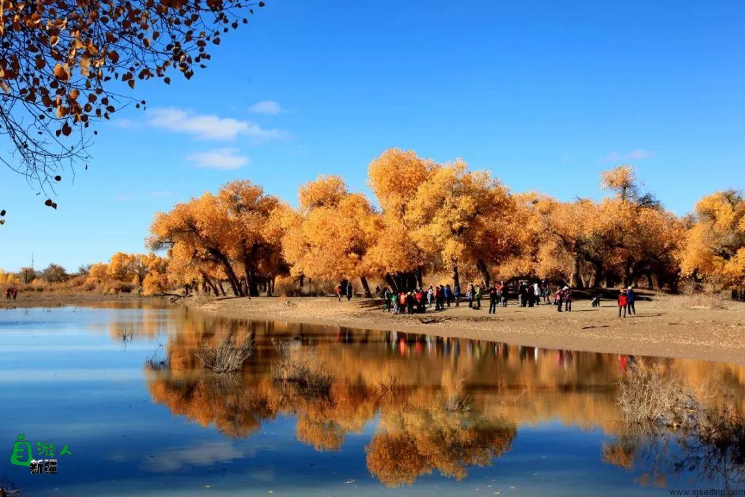 提起新疆，你的第一印象是什么？