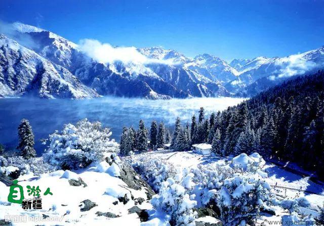 新疆冬季最美的五大湖泊，体验冰雪晶莹的唯美纯净！