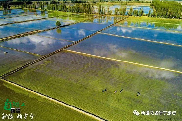 回忆2018年我最好的家乡——伊犁