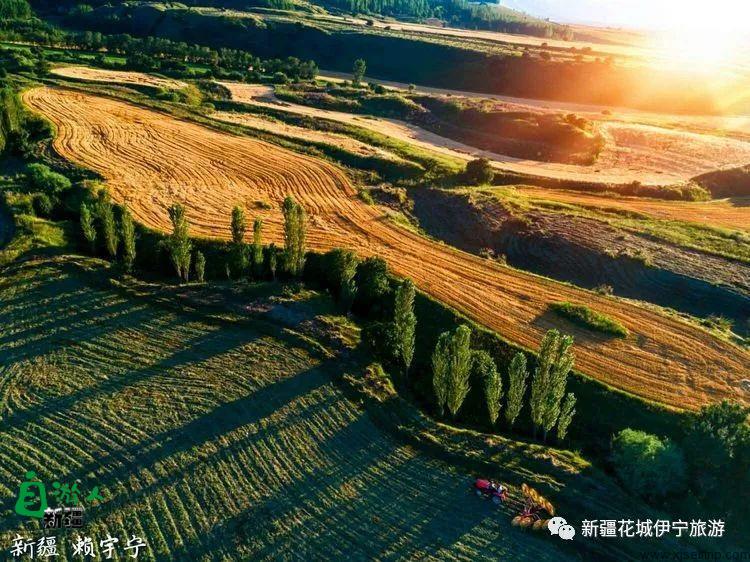 回忆2018年我最好的家乡——伊犁