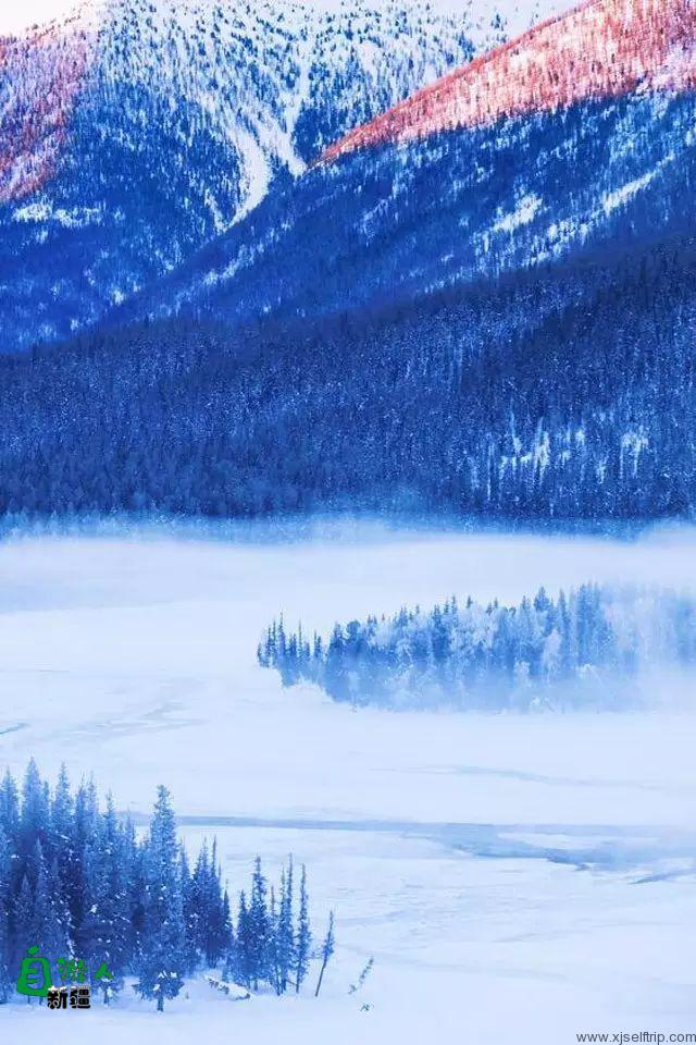 新疆的雪，一年四季最变幻莫测的白！ 新疆的马，冰天雪地中最狂野的精灵！