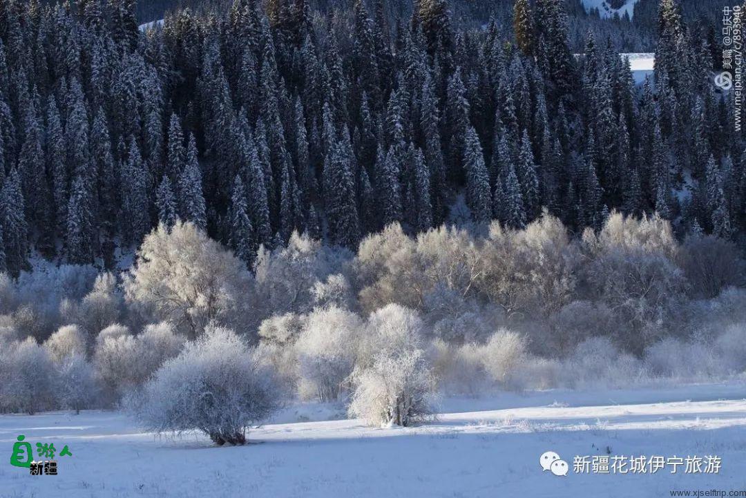 “我说新疆”之陶醉在冬季伊犁的水墨世界里