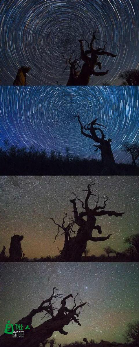 新疆时时处处都是好风光，白天有白天的魅力，夜晚更有夜晚的神奇，这星空仿佛梵高笔下的世界...