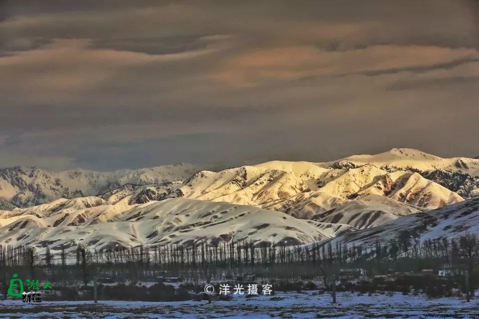 晨曦中的冬日那拉提草原，是我见到的另一个天堂