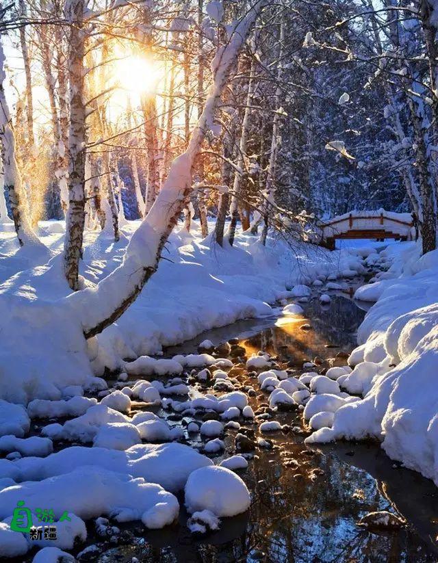 新疆的雪，一年四季最变幻莫测的白！ 新疆的马，冰天雪地中最狂野的精灵！