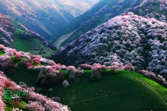 新疆最美风景在哪里？这让人向往的20个地方，2019不容错过！