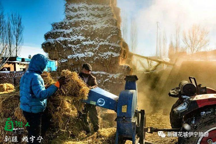 回忆2018年我最好的家乡——伊犁