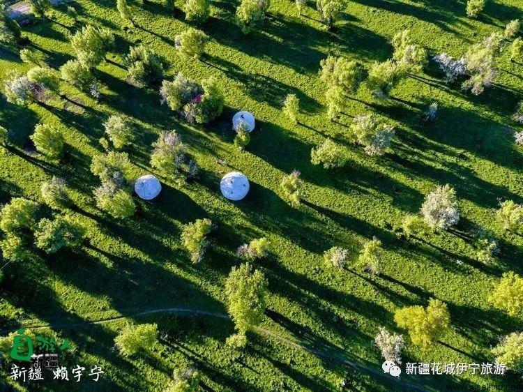 回忆2018年我最好的家乡——伊犁
