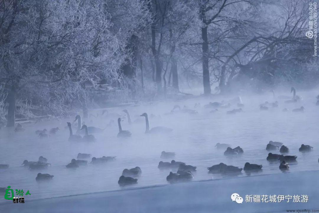“我说新疆”之陶醉在冬季伊犁的水墨世界里