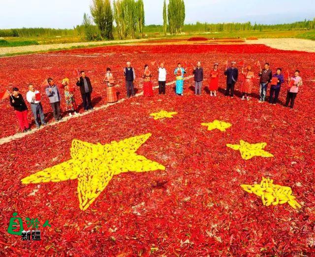 南疆是一种病，不去治不好；北疆是一种瘾，去过戒不掉！