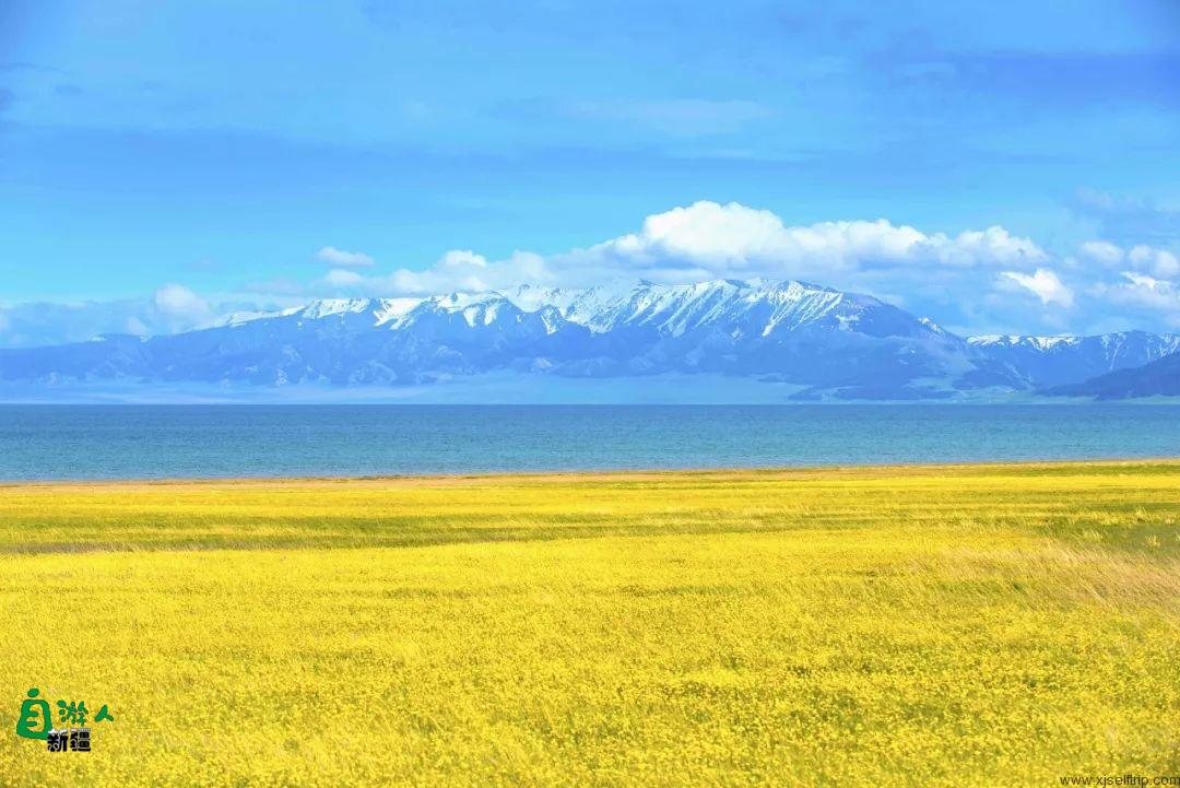 下一站，新疆！3月开始，新疆将变成最美的后花园！