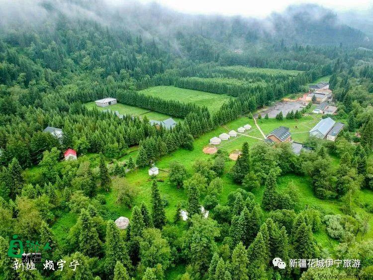 回忆2018年我最好的家乡——伊犁