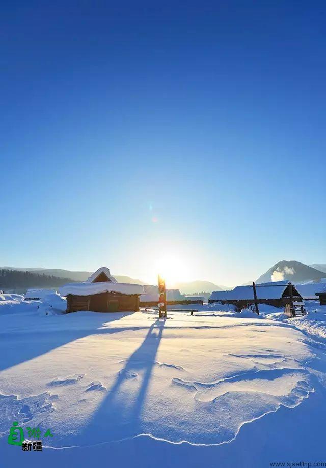 新疆的雪，一年四季最变幻莫测的白！ 新疆的马，冰天雪地中最狂野的精灵！