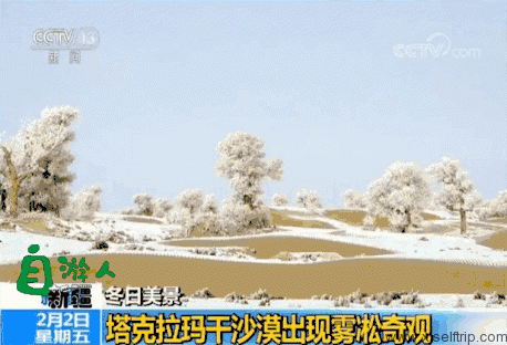 新疆冬日风光，美得惊艳了央视！随手一拍都是大片