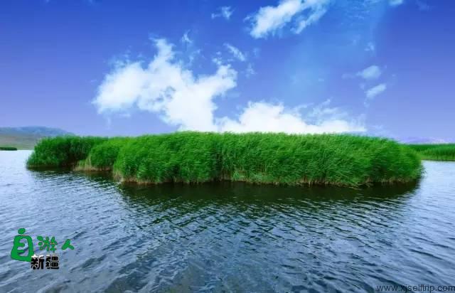 新疆最美风景在哪里？这让人向往的20个地方，2019不容错过！
