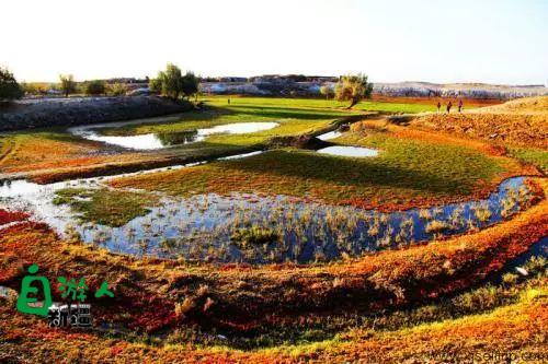喜讯！新疆9处国家湿地公园通过验收，在你家门口吗？