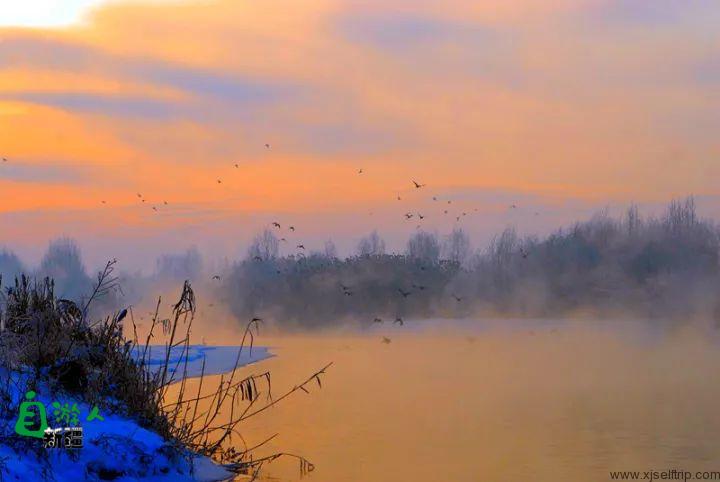 伊犁河谷的冬季童话美景，是大自然奇妙美景，雪与光的盛宴！