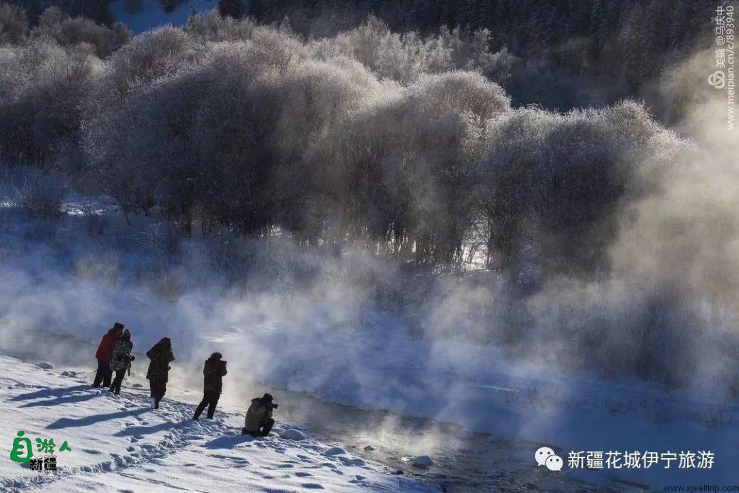 “我说新疆”之陶醉在冬季伊犁的水墨世界里