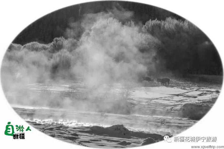 “我说新疆”之陶醉在冬季伊犁的水墨世界里