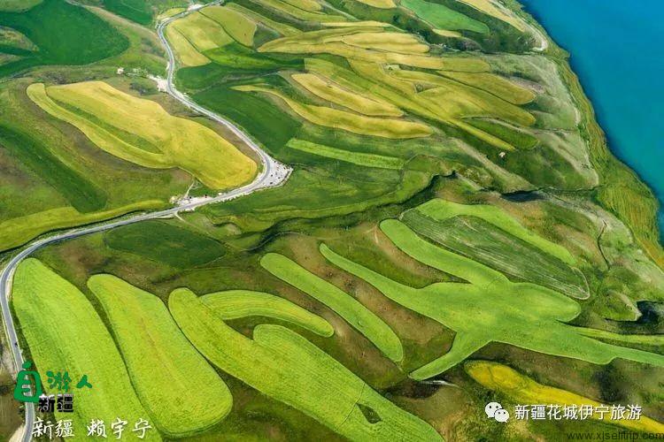 回忆2018年我最好的家乡——伊犁
