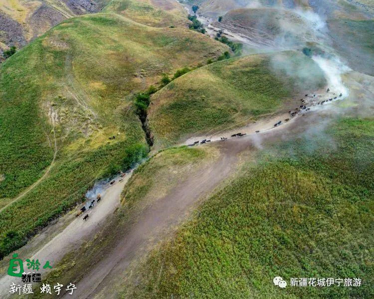 回忆2018年我最好的家乡——伊犁