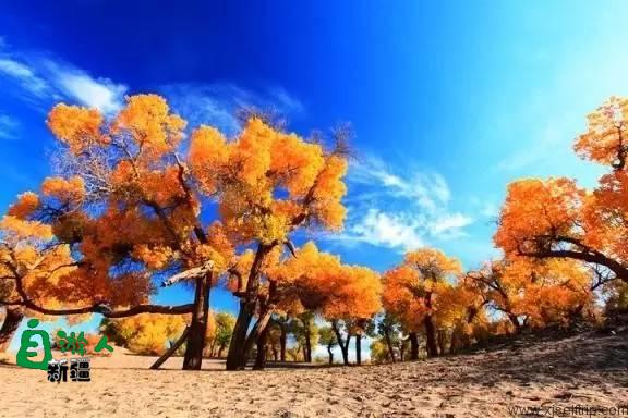 新疆最美风景在哪里？这让人向往的20个地方，2019不容错过！