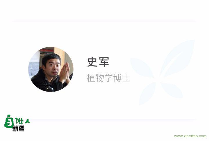 南瓜降血糖？不知道这一点，可能越吃病越重