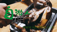 新疆自游人2019第一团 | 新疆杏花无敌，美玉无双