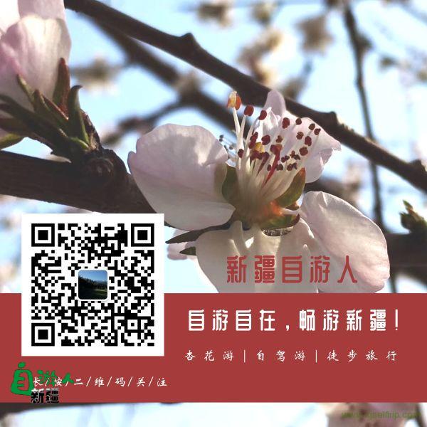 新疆又发现一条绝美天路！比独库还攒劲，比G318更有魅力！满足自驾人所有的美梦和激情！
