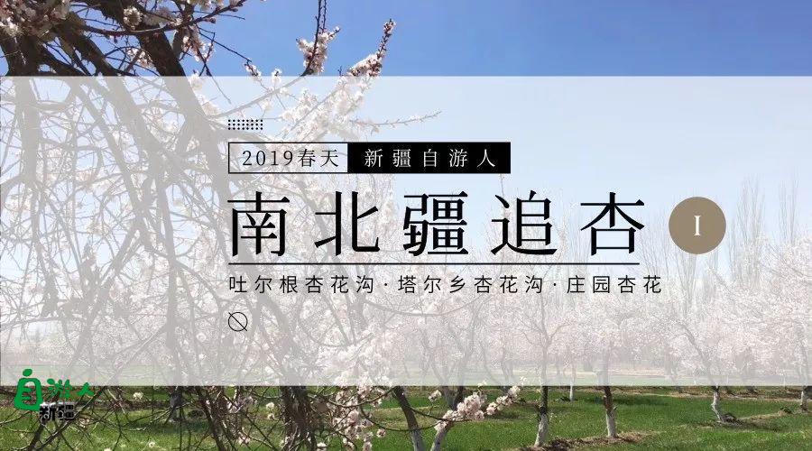 新疆又发现一条绝美天路！比独库还攒劲，比G318更有魅力！满足自驾人所有的美梦和激情！