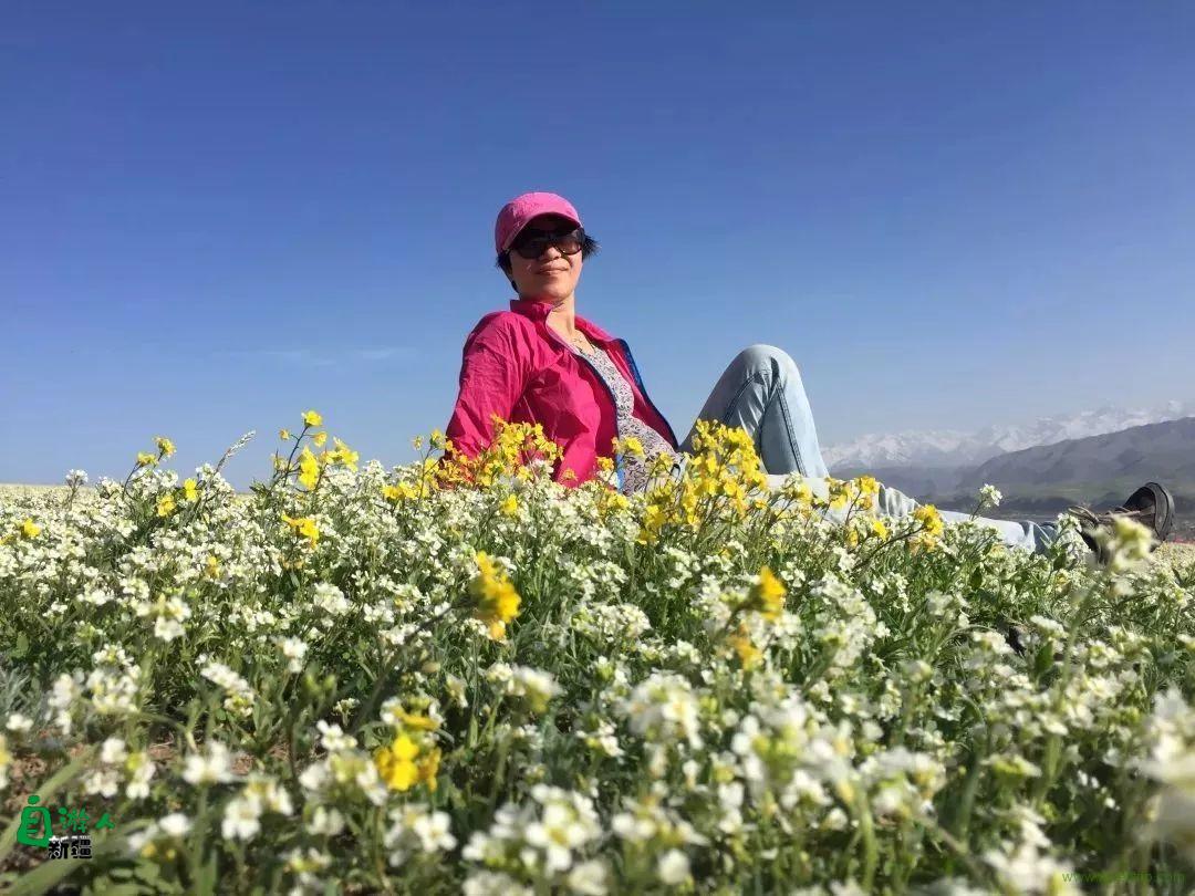 We are looking for Volunteers for Ecological Farm